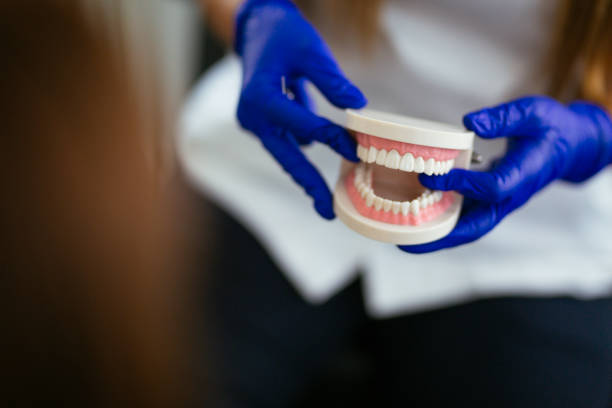 Best Wisdom Tooth Removal  in Elbow Lake, MN